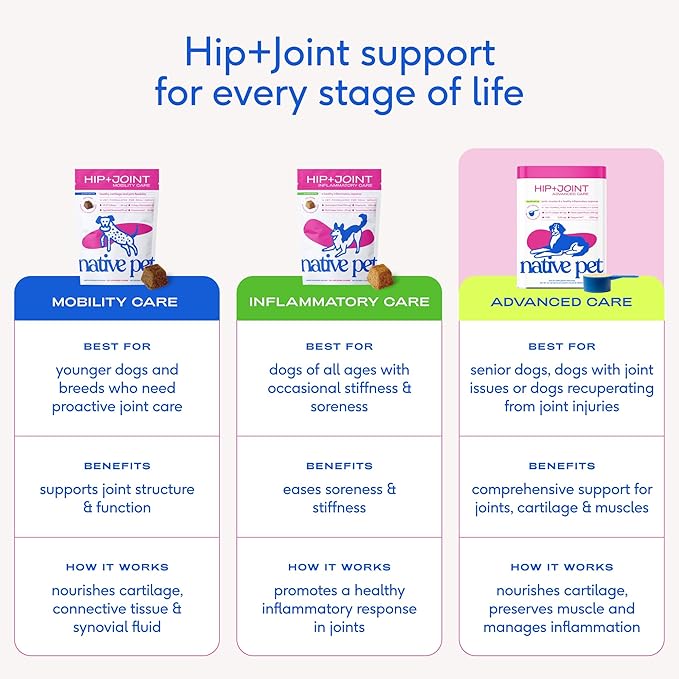 Native Pet Advanced Care - Hip & Joint Supplement for Dogs - Supports Joints, Cartilage, Muscles & Anti-Inflammatory with HMB, UC-II Collagen, Green Lipped Mussel & Hyaluronic Acid - 60 Scoops