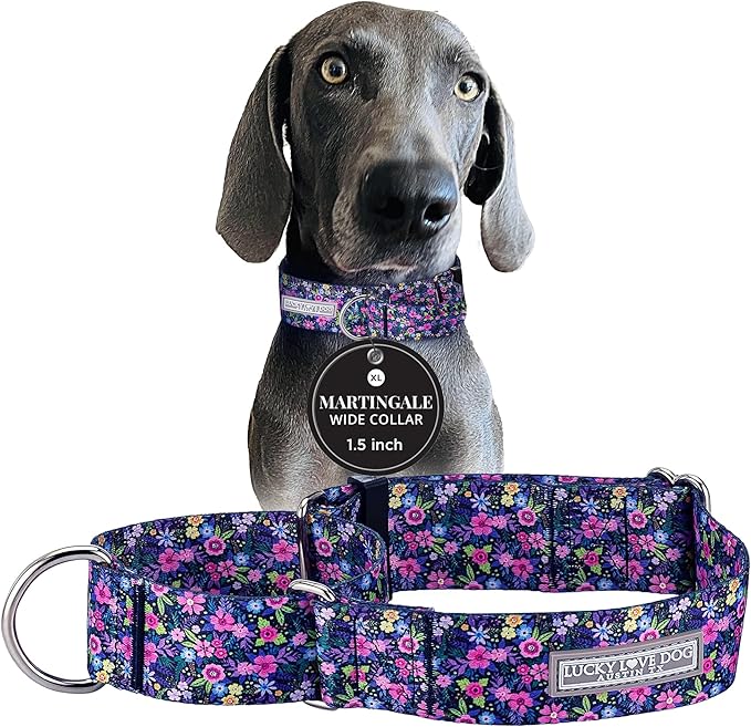 Lucky Love Dog Wide Martingale Dog Collar - No-Slip, Durable, & Soft Webbing 1.5 inch Martingale Collar for Dogs Male and Female Ideal for Training & Walking - Primrose, X-Large