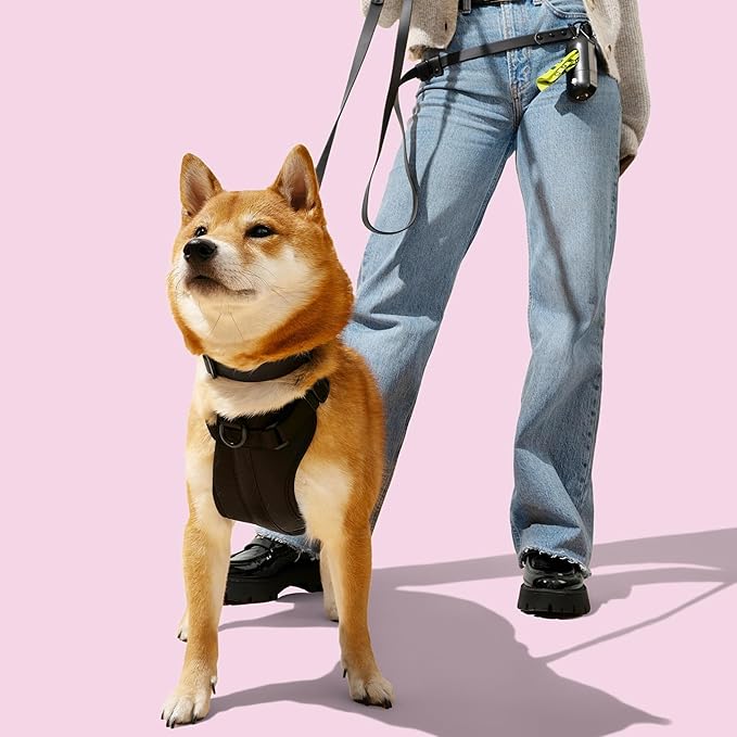 HNS1001I Arlo Small Adjustable Soft Padded No Pull Pet Harness with 3 Buckles and 3 Leash Clips, Bitters
