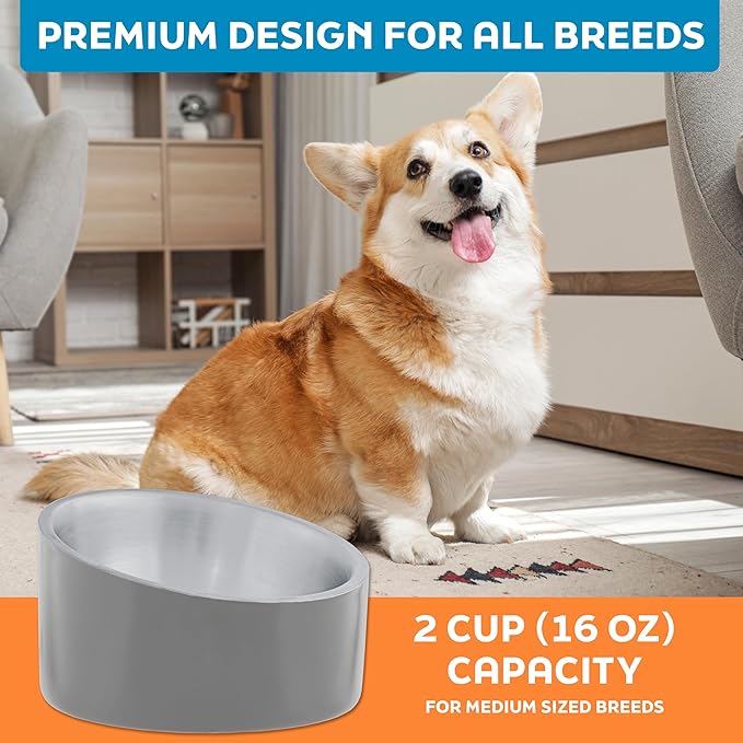 Master Pet Supply Stainless Steel Slanted Dog Cat Food Bowl - 16 oz Heavy Duty - Graphite, Double Wall Insulated, Non-Slip Elevated Bowl for French Bulldogs Pugs Cats, Anti Rust Dishwasher Safe