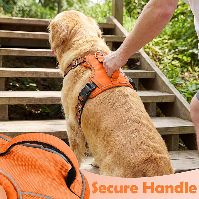Funfox Dog Harness No Pull, Adjustable Pet Vest Harness, Super Soft Material with Vertical Handle Easy Control, Reflective Night Walking, 2 Leash Clips for Small Sized Dogs, Orange, S