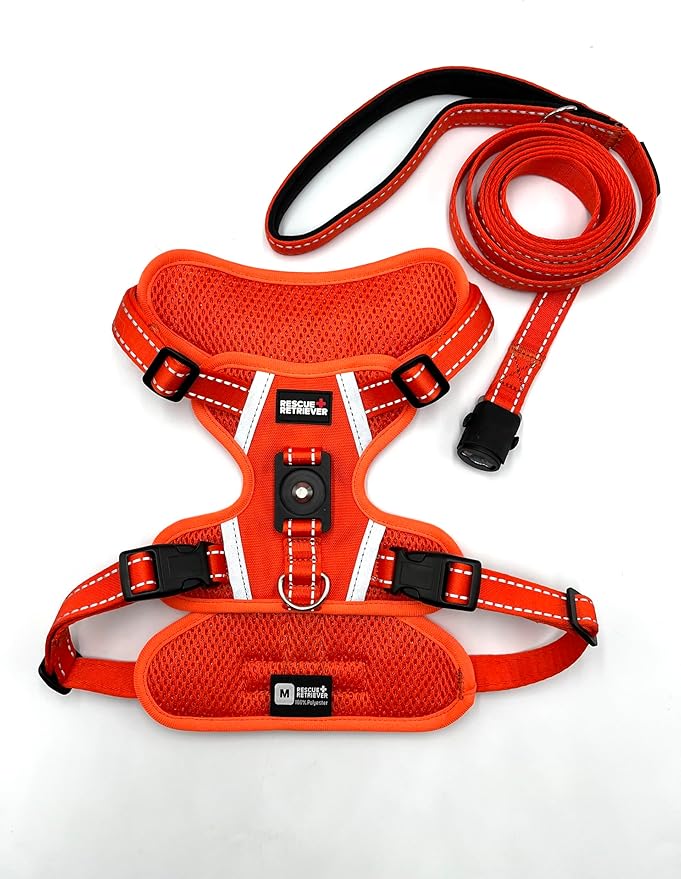 Clickette™ Magnetic Locking Harness and Leash (Orange, Large)