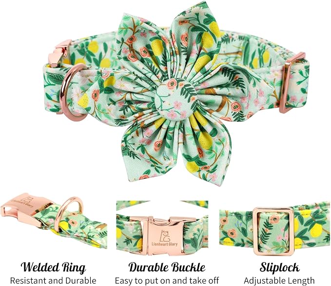 Lionheart Glory Cute Lemon Floral Pattern Adjustable Dog Collar for Small Dogs
