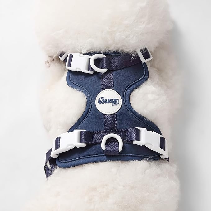 HNS1001J Arlo Small Adjustable Soft Padded No Pull Pet Harness with 3 Buckles and 3 Leash Clips, Highball