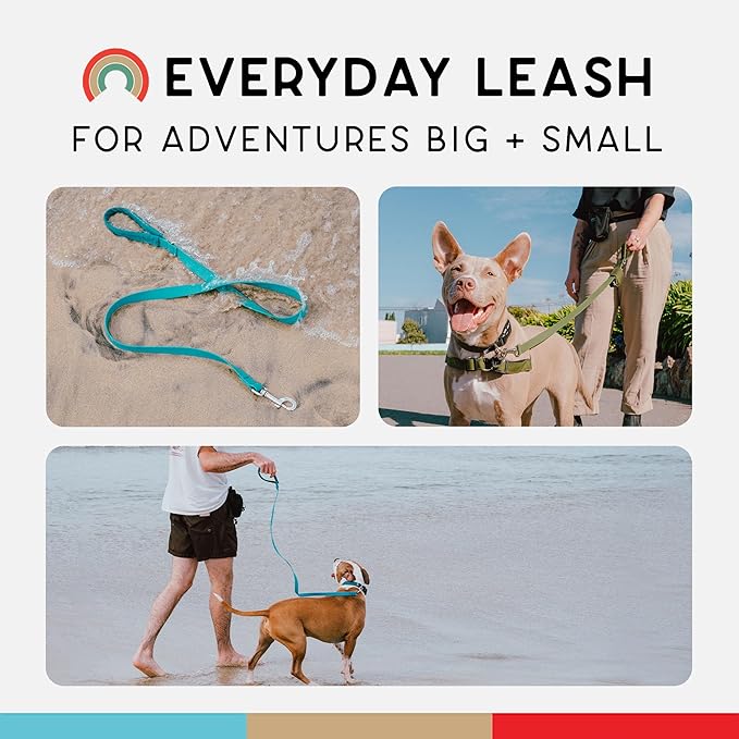 Wildebeest Funston Waterproof Dog Leash - Heavy Duty 6 ft Long Leash for Small, Medium and Large Dogs - 1000D Nylon Wrap Handle - Scratch & Stink-Resistant & Pill-Free (3/4" Wide, 6 ft Length)