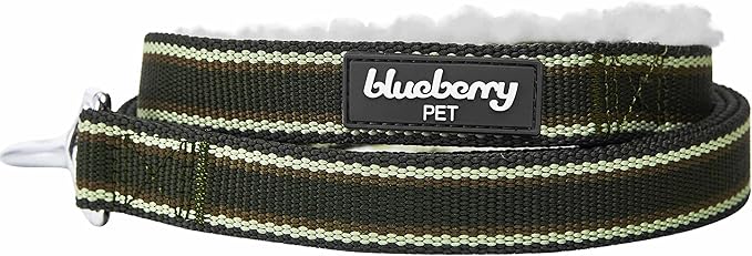 Blueberry Pet Multi-Colored Stripe Fleece Padded Dog Leash with Soft & Comfortable Handle, 4 ft x 1", Olive Green, Large, Leashes for Dogs