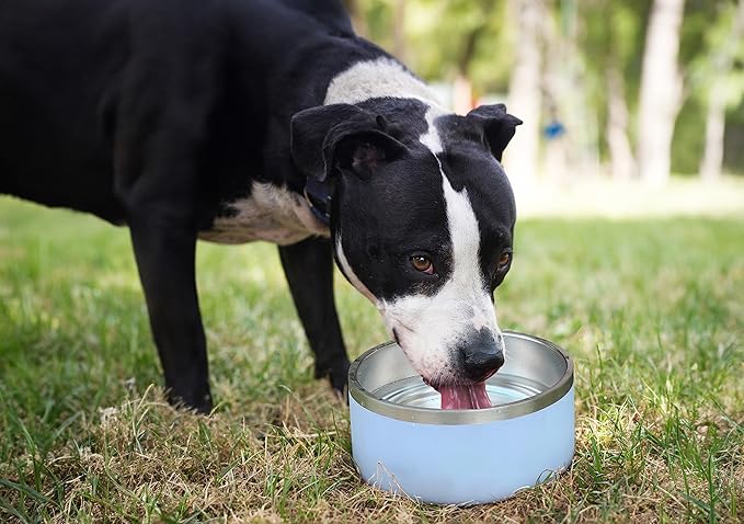 Alpine Set of 2 Stainless Steel Dog Bowls, Non Slip, Metal Pet Bowl for Food and Water, Double Walled Insulated, Rustproof, Dishwasher Safe- 32 Ounces- Pink (AB)