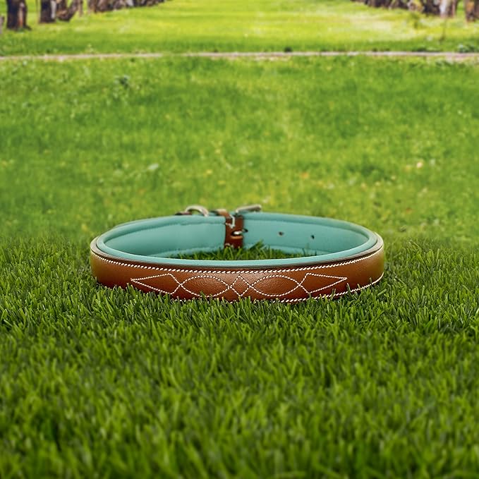Exion Geniun Leather Dog Collar Designer Stitched Soft Leather Padded- Suitable for Small Medium Large X-Large Dogs for Walking Running- Conker with Sky Blue Padding