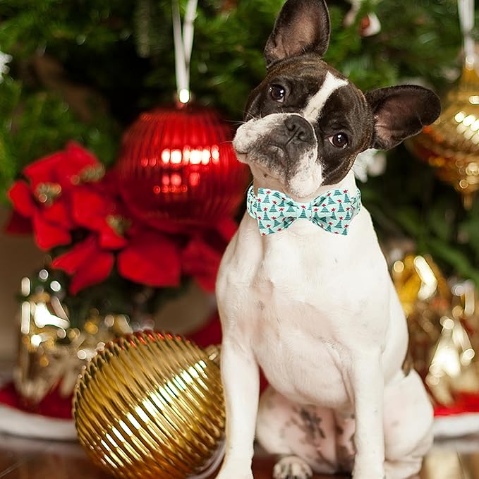 ARING PET Christmas Dog Collar with Bow, Cute Xmas Green Christmas Tree Bowtie Pet Collars for Puppy Small Medium Large Girl Boy Dogs-XL