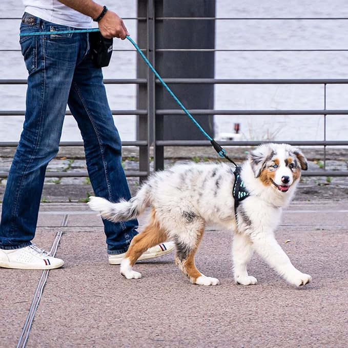 5/6 FT Strong Pet Dog Leash with Soft Padded Handle,Highly Reflective Rope for Night Walking,360-Degree Rotating Metal Buckle Without Tangles,Suitable for Small,Medium and Large Dogs.(6ft)