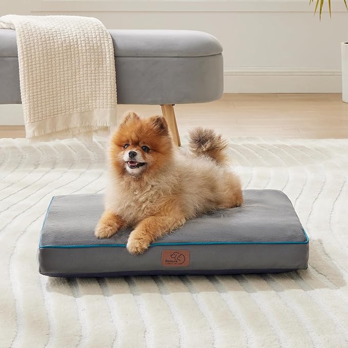 Bedsure Washable Dog Bed for Small Dogs - 2.5 Inch Thicken Up to 30lbs Pet Mat Pillows with Removable Washable Cover, Grey