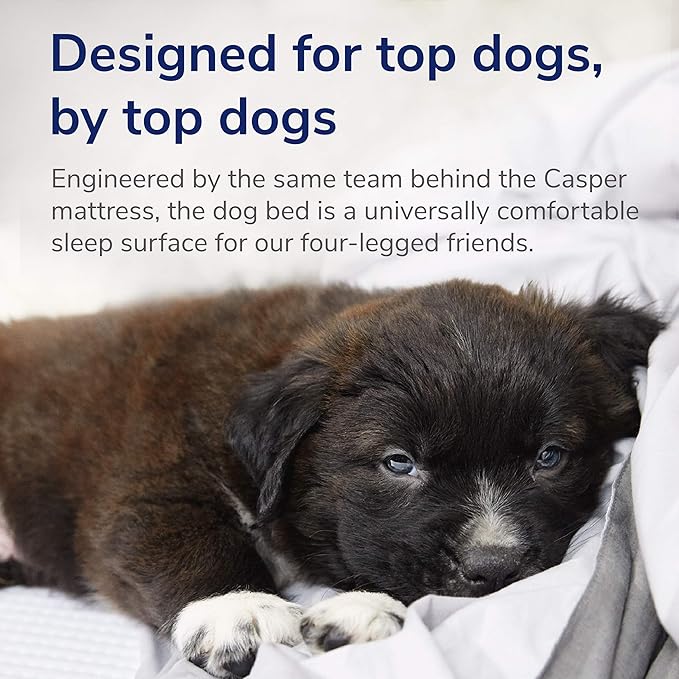 Casper Dog Bed, Plush Memory Foam, Large, Sand, 35.0"L x 45.0"W x 7.0"Th