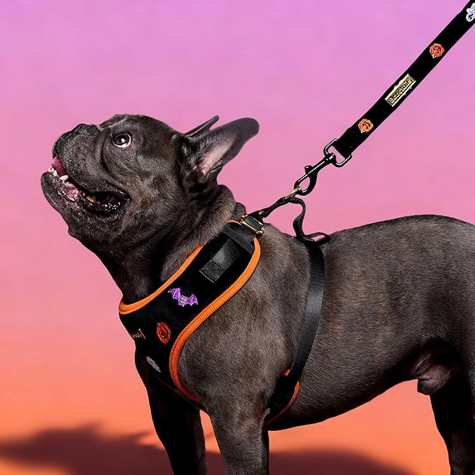 5 FT Stylish Dog Leash, Soft Dog Leashes with Comfortable Padded Handle, Metal Carabiner Clip, Strong No Pull Pet Leash for Small Medium Dogs for Walking, Shopping and Running