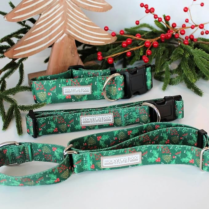 Lucky Love Dog - Easy Click Holly Dog Collar with Leash Set Combo, Durable & Comfortable for Male & Female Dogs, Pet Collar for Small Dogs, Secure Fit - Holly Combo, XS
