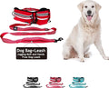 Kruz Hands Free Dog Leash (Waist 26”- 48”, Leash- 1”x 5ft) Premium Waist Belt for Walking, Running, & Hiking, Bungee with Dual Handles, Adjustable Fit, Reflective Safety Design for Large Dogs (Red)