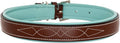 Exion Geniun Leather Dog Collar Designer Stitched Soft Leather Padded- Suitable for Small Medium Large X-Large Dogs for Walking Running- Oak Brown with Sky Blue Padding