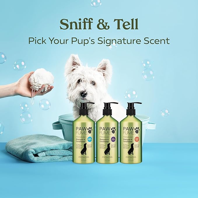 PAWFUME Dog Shampoo and Conditioner, Blue Ribbon, 1-Pack – Nourish & Detangle for a Silky Soft Coat – Probiotic, Deep-Cleaning, pH-Balanced Formula – Puppy Shampoo and Conditioner for All Breeds