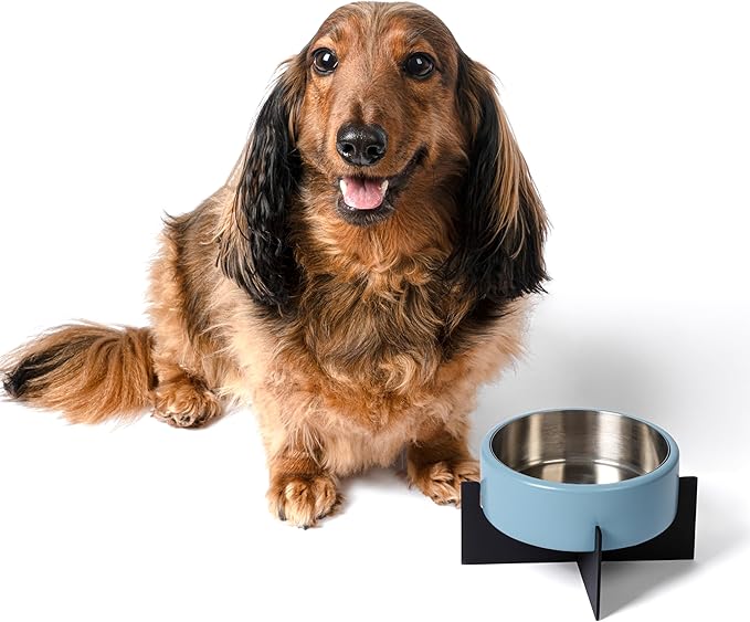 DBL3000F Intersecta Small/Medium Concrete and Stainless Steel Bowl 16oz (2 Cups) with Metal Stand Pet Feeder, Blue/Black