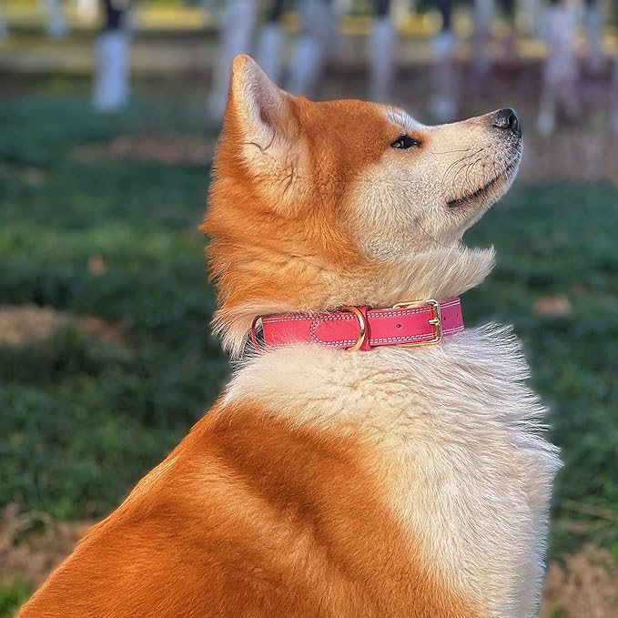 Genuine Leather Dog Collar, Heavy Duty Wide Dog Collar for Small, Medium,Large Dog and Extra Large Dog (S: 0.8" Wide for 13.4"-15.8" Neck, Dual Stitch - Pink)
