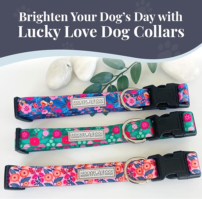 Lucky Love Dog - Easy Click Buckle Dog Collar with Leash Set Combo, Durable & Comfortable for Male & Female Dogs, Pet Collar for Small Dogs, Secure Fit - Floral Rosie Combo, X-Small