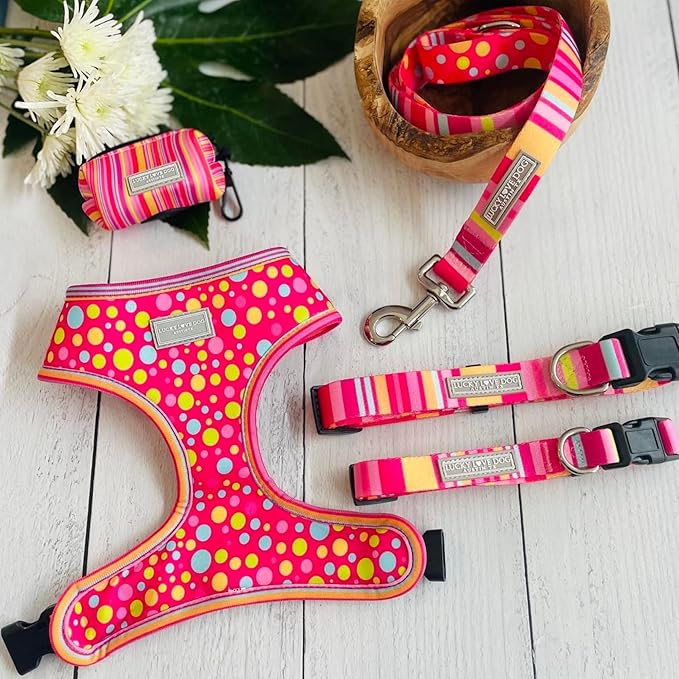 Lucky Love Dog Leash - Colorful Stripes, Yellow, Pink, Blue - Cute Female Dog Leash (Large, Molly)