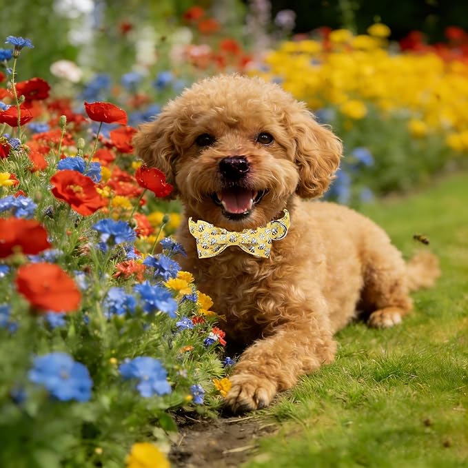 Lionet Paws Spring Dog Collar with Bow tie,Cute Summer Bees Yellow Dog Collar Bow Tie for Dogs Female, Medium, Neck 13.5-22 inches