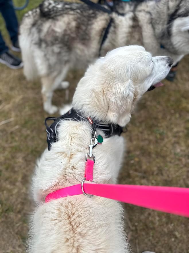 No-Pull Dog Leash, Chew Resistant, Waterproof, Durable PVC Material, Multiple Sizes and Colors (Pink, Small)