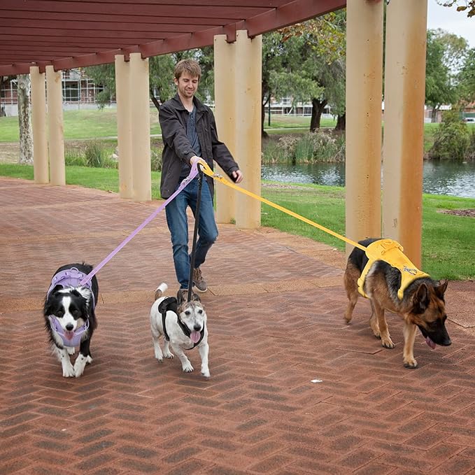 No Pull Lightweight Dog Harness: Adjustable Durable Breathable Mesh Pet Vest Harness with Soft & Comfortable Cushion, for Small Medium Large Dogs (S, Butter Yellow)