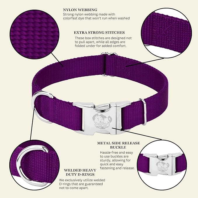 Country Brook Petz - Premium Nylon Dog Collar with Metal Buckle for Small Medium Large Breeds - 10+ Cool Colors (Large, 1 Inch, Purple)