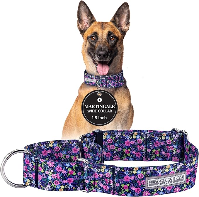 Lucky Love Dog Wide Martingale Dog Collar - No-Slip, Durable, & Soft Webbing 1.5 inch Martingale Collar for Dogs Male and Female Ideal for Training & Walking - Primrose, Large
