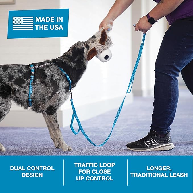 Blue-9 Reflective Dog Leash, Multi-Function 6 Foot Adjustable Lead with Traffic Loop and 3M Reflective Stitching for Obedience, Running, and Agility Training, Made in The USA, Medium/Large, Blue