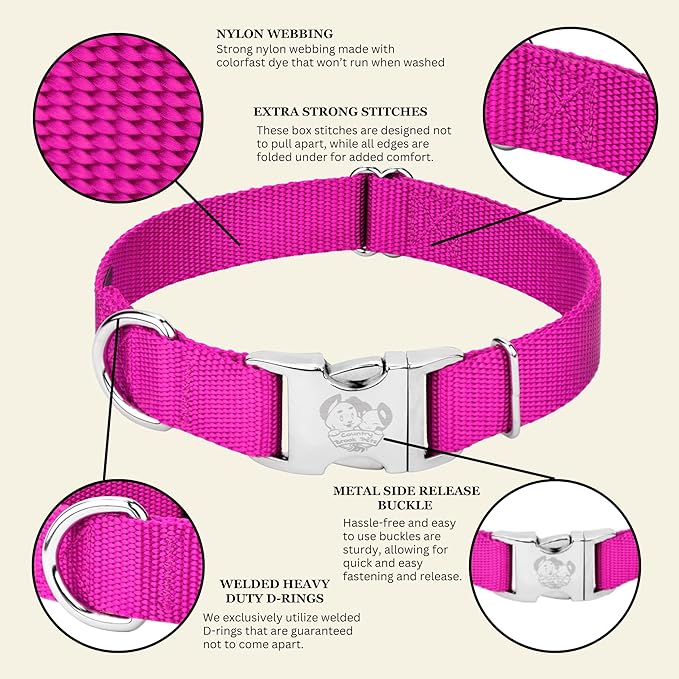 Country Brook Petz - Premium Nylon Dog Collar with Metal Buckle for Small Medium Large Breeds - 10+ Cool Colors (Small, 3/4 Inch, Fuchsia)