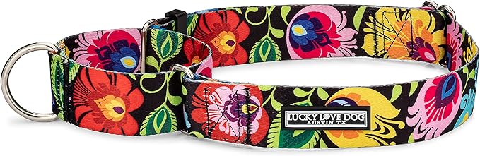 Lucky Love Dog Wide Martingale Dog Collar - No-Slip, Durable, & Soft Webbing 1.5 inch Martingale Collar for Dogs Male and Female Ideal for Training & Walking - Blackbird, X-Large