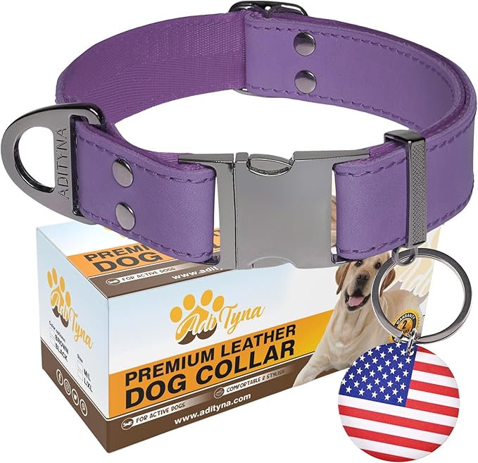 ADITYNA Leather Dog Collar with Metal Buckle - Heavy-Duty, Adjustable for Large & Extra Large Dogs - Walking & Training (Purple, Fits 19-30" Necks)