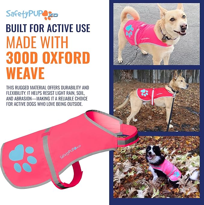 SafetyPUP XD Dog Reflective Vest – Hi-Vis Fluorescent Visibility That Helps to Safeguard Your Pet On/Off Leash in Urban & Rural Areas (Pink, X-Small)