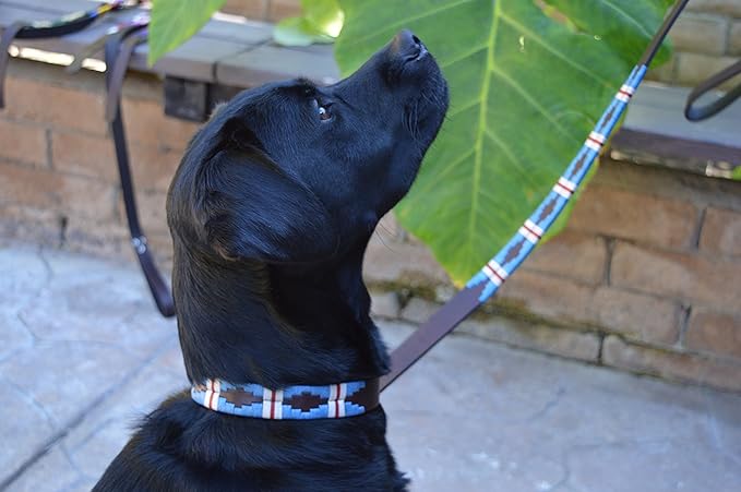 Gaucho Goods Soft Leather Dog Collar - The Pacific (L)