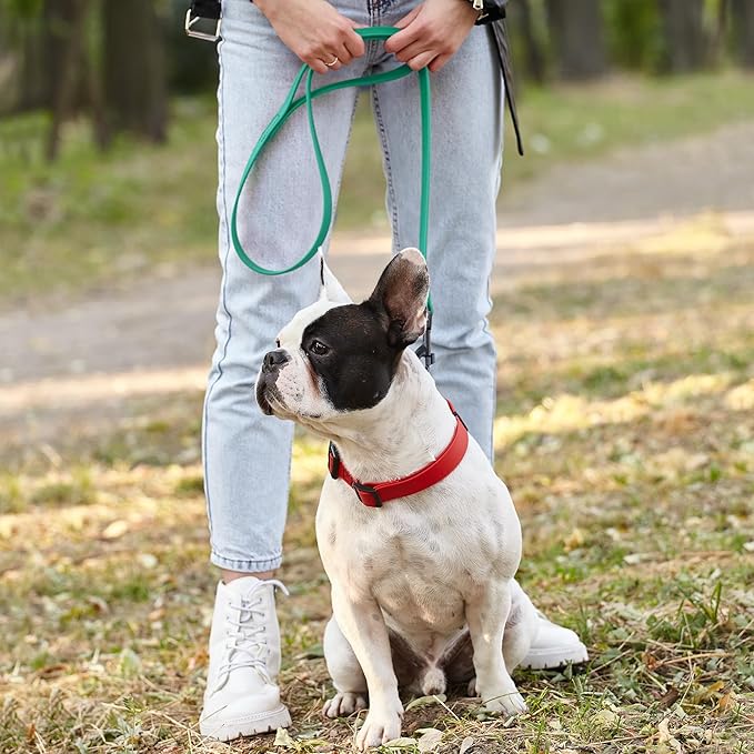 Dogline Biothane Waterproof Dog Leash Strong Coated Nylon Webbing with Black Hardware Odor-Proof Easy to Clean High Performance for Small or Large Dogs Made in USA 2 ft Lead, Teal