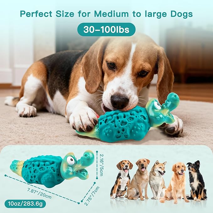 FurtasticiFinds Dog Chew Toys for Aggressive Chewers, Tough Squeaky Dog Toy for Large Medium Dogs, Bacon Flavor Nylon & Natural Rubber, Dental Care Interactive Dog Toys to Reduce Boredom, Teal
