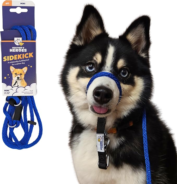 Heather's Heroes Sidekick Leash