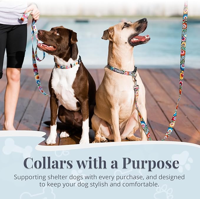 Lucky Love Dog - Adjustable Dog Collar with Easy Click Buckle for Small Ones, Durable, & Comfortable for Male & Female Dogs, Pet Collar for Puppies & Adult Dogs - Blackbird, X-Small