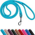 OOPSDOGGY Rolled Leather Dog Lead 6ft Heavy Duty Training Leash for Small Medium Large Dogs & Puppy Black Brown Red (Blue, Small)