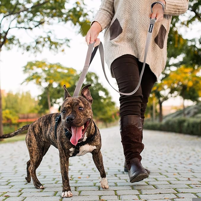 PetiFine 6FT Heavy Duty Dog Leash with Soft Padded Double Handle, Durable Strong Clasp Dog Leashes, Reflective Nylon Walking Lead for Large,Medium,Small Breed Dogs, Grey