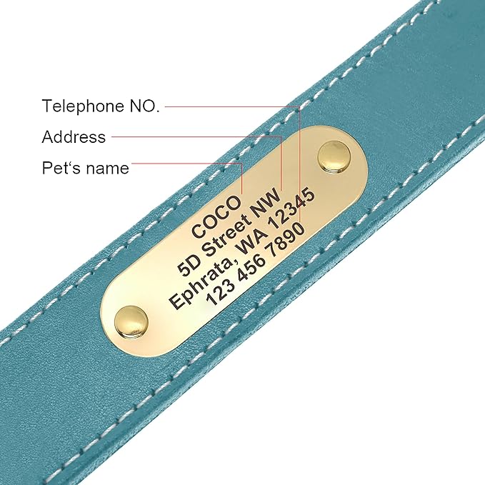 Didog Genuine Leather Dog Collars with Engraved Nameplate, Personalized Soft Leather Dog Collar with Custom ID Tag, Brown/Green/Red for Medium Large Dogs (XL,Blue)