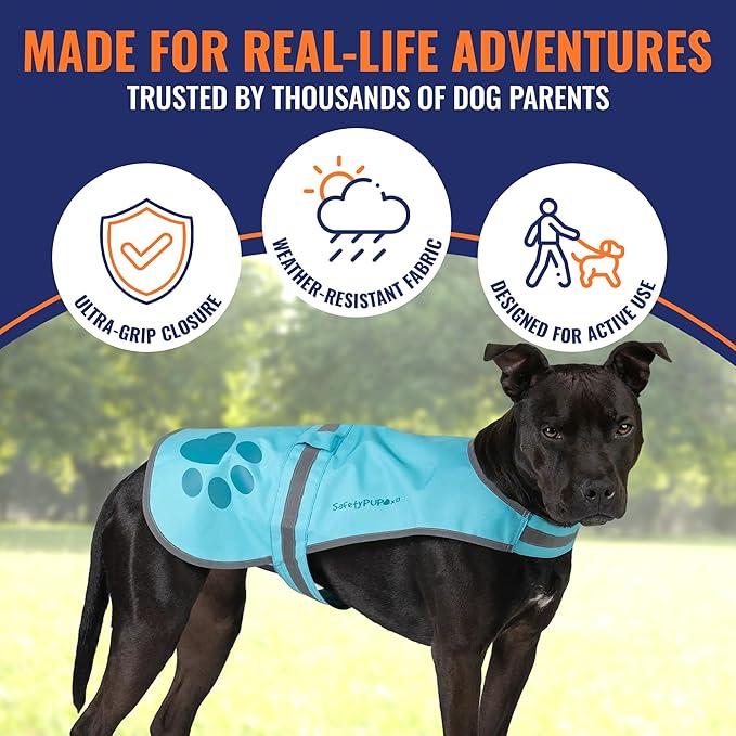 SafetyPUP XD Dog Reflective Vest – Hi-Vis Fluorescent Visibility That Helps to Safeguard Your Pet On/Off Leash in Urban & Rural Areas (Teal, Small)