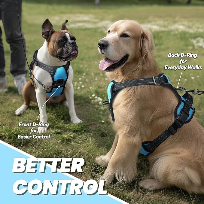 VIVAGLORY Dog Harness Easewalk No Pull Dog Harness with Handle Front Clip & Back Clip for Training Walking Lifting, No Pull Adjustable Easy On Padded Comfortable for Pet, S, Sky Blue - Plain
