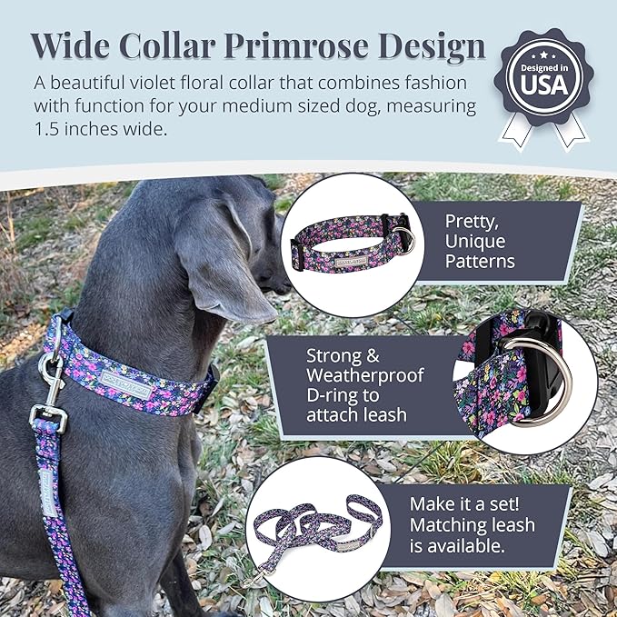 Lucky Love Dog Wide Dog Collar - Adjustable, Durable, Soft Webbing, & Comfortable 1.5 inch Wide Collar for Dogs Male and Female with Strong Buckle - Primrose, Medium
