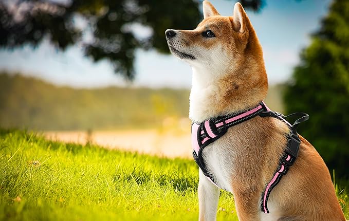 Ziggy Pet Dog Harness Adjustable Nylon Mesh Vest with Leash Clips (Pink, Small)