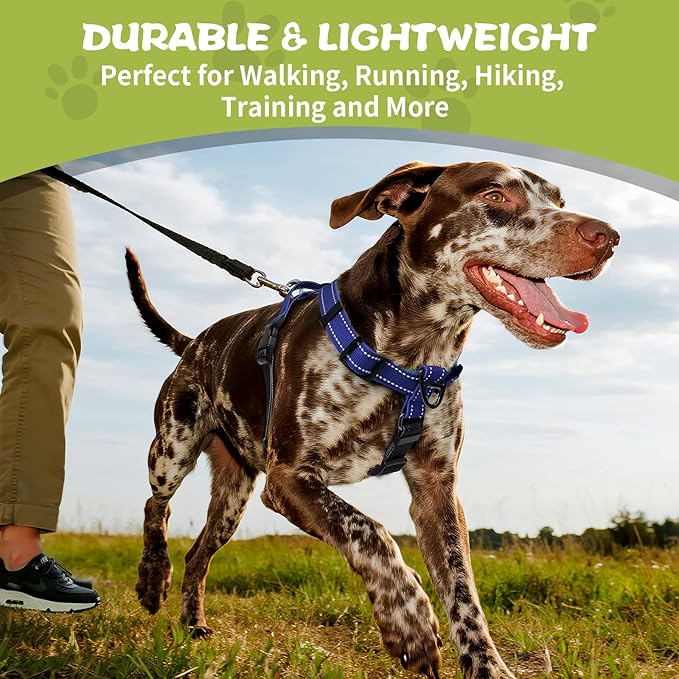 Dog Harness,Adjustable No Pull Dog Harness,Y-Shaped Design,Buckle-Neck Balance Harness with Reflective, Ideal for Dog Training Hiking, Easy Walk Harness,Durable High-Tensile Nylon-Blue-L