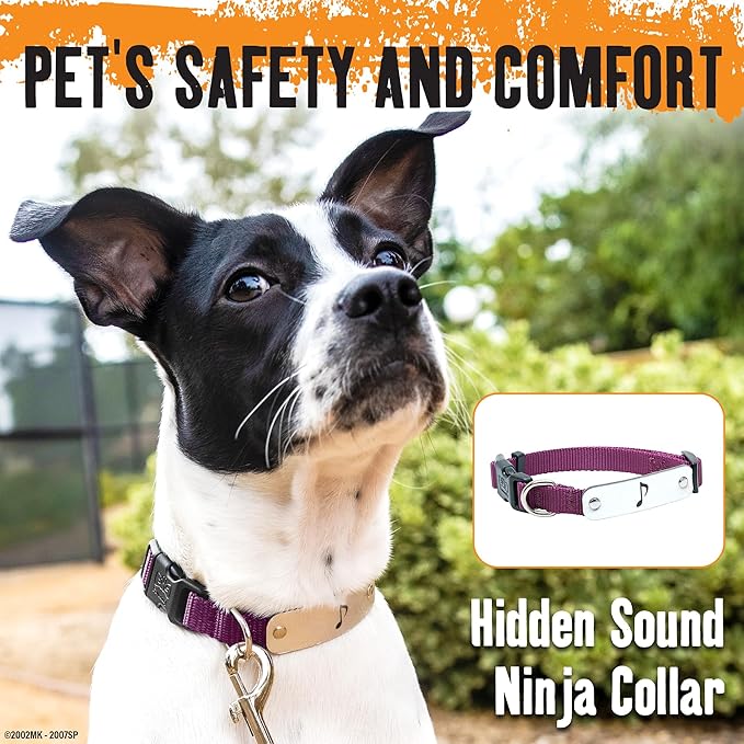 Naruto Dog Collar for Large Dogs, Medium, Small, XS Puppy Collars: Officially Licensed Naruto Shippuden Anime Dog Collar Pet Accessories, Naruto Gifts for Boy or Girl Dog (Burgundy, Hidden Sound, SM)