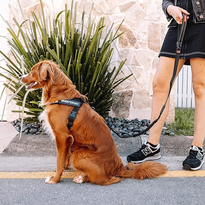 EzyDog Express Dog Harness - Adjustable Dog Harness for Large, Medium, and Small Dogs with Padded Ergonomic Anti-Chafing Design, Grip Handle, & Easy Side Buckle (S, Black)